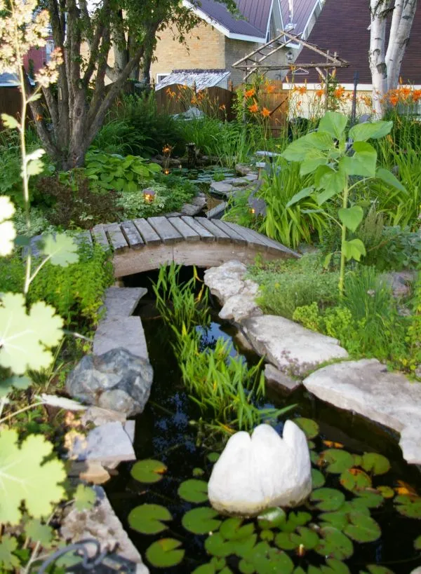 The garden