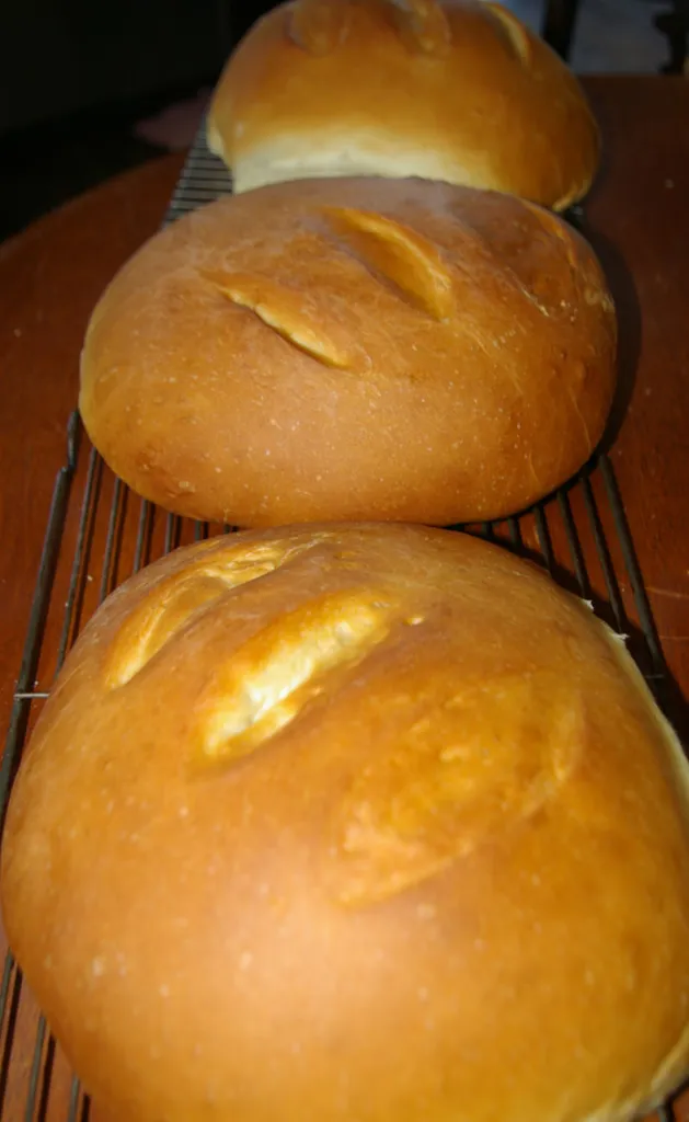 White bread